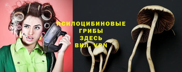 амф Зеленодольск