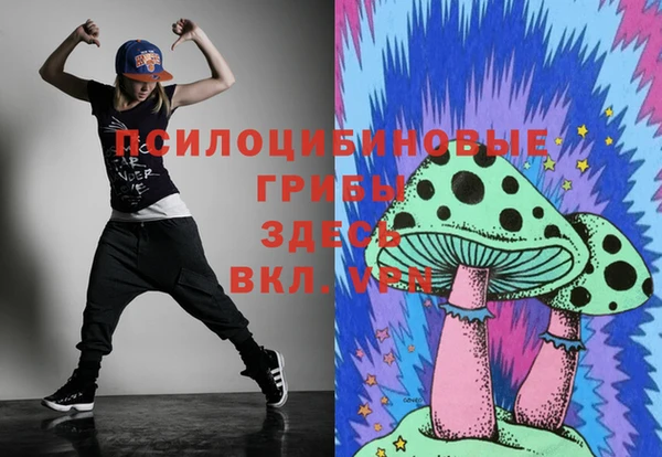 шишки Зеленокумск