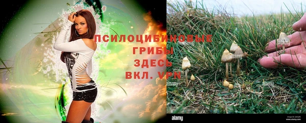 шишки Зеленокумск