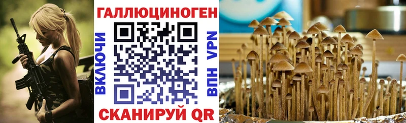Купить  Эртиль  Галлюциногенные грибы прущие грибы 